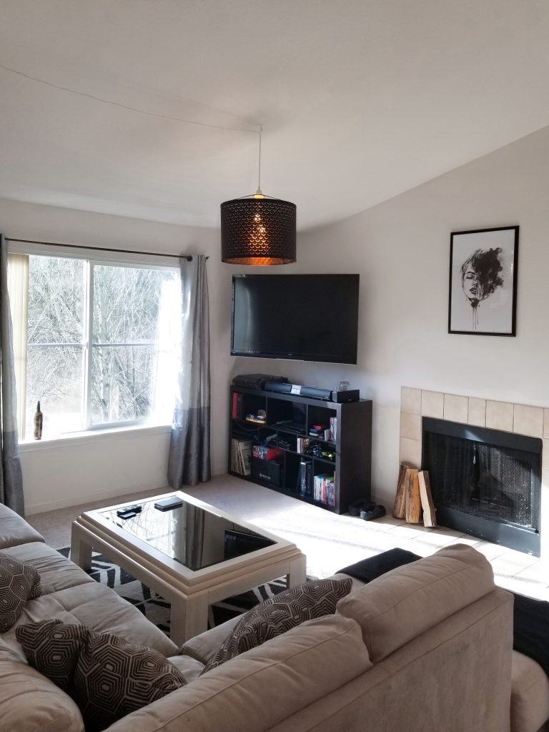 bold light in apartnemtn living