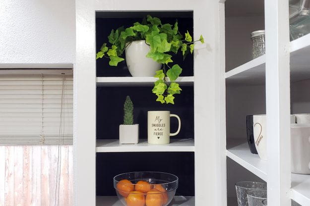 Open Door Cabinets by Boston Cabinet Cures